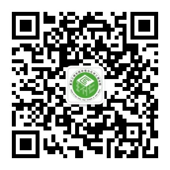 2026世界杯官方合作网站